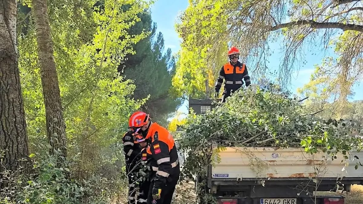 Voluntarios de Protección Civil realizando trabajos de desramado y despeje de vegetación en el camino de la Zarzuela de Villaviciosa de Odón