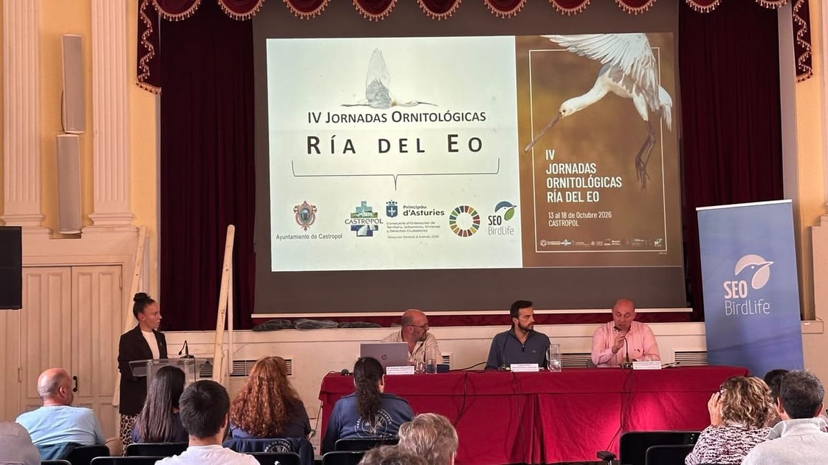 Cartel de las IV Jornadas Ornitológicas de la Ría del Eó 2026 en Castropol, organizadas por el Principado de Asturias, Ayuntamiento de Castropol y SEO BirdLife