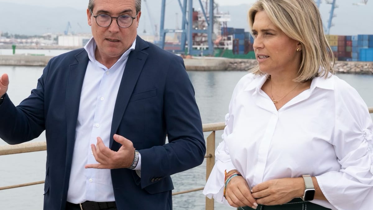 Instalaciones del Puerto de Castellón con vista de muelles y operaciones portuarias