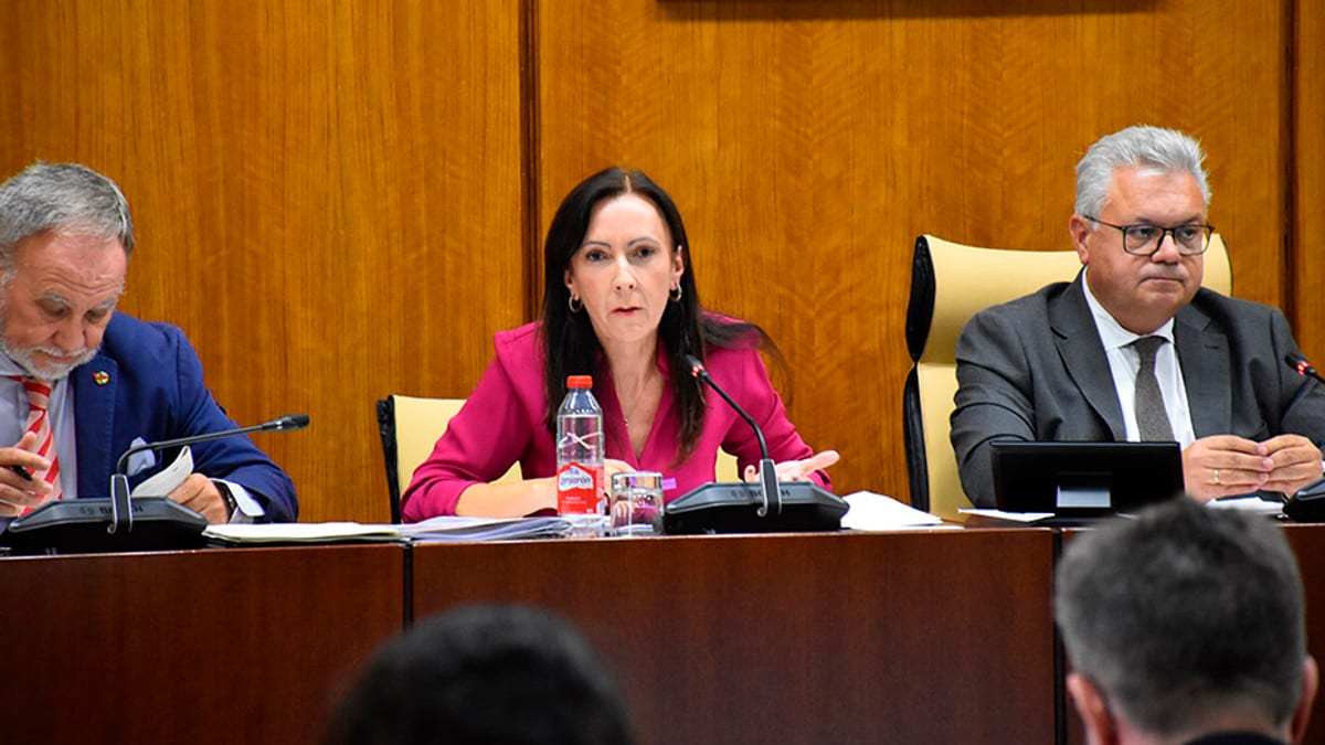 Fina Martínez, de la Consejería de Sostenibilidad y Medio Ambiente, durante su comparecencia en comisión parlamentaria explicando el funcionamiento de Rediam