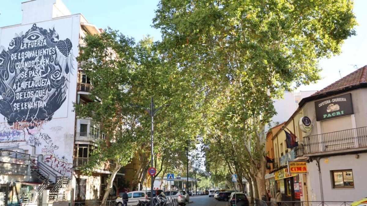 Junta de Gobierno Local del Ayuntamiento de Alcalá de Henares aprueba proyecto de renovación de red de saneamiento