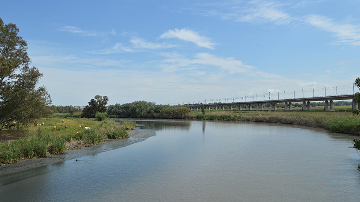 Trabajos de reparación en el azud del río Guadalete entre El Portal y La Corta, en Jerez