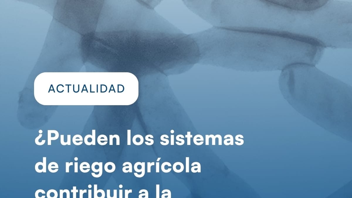 Imagen de la investigación sobre Legionella pneumophila del Centro Nacional de Microbiología