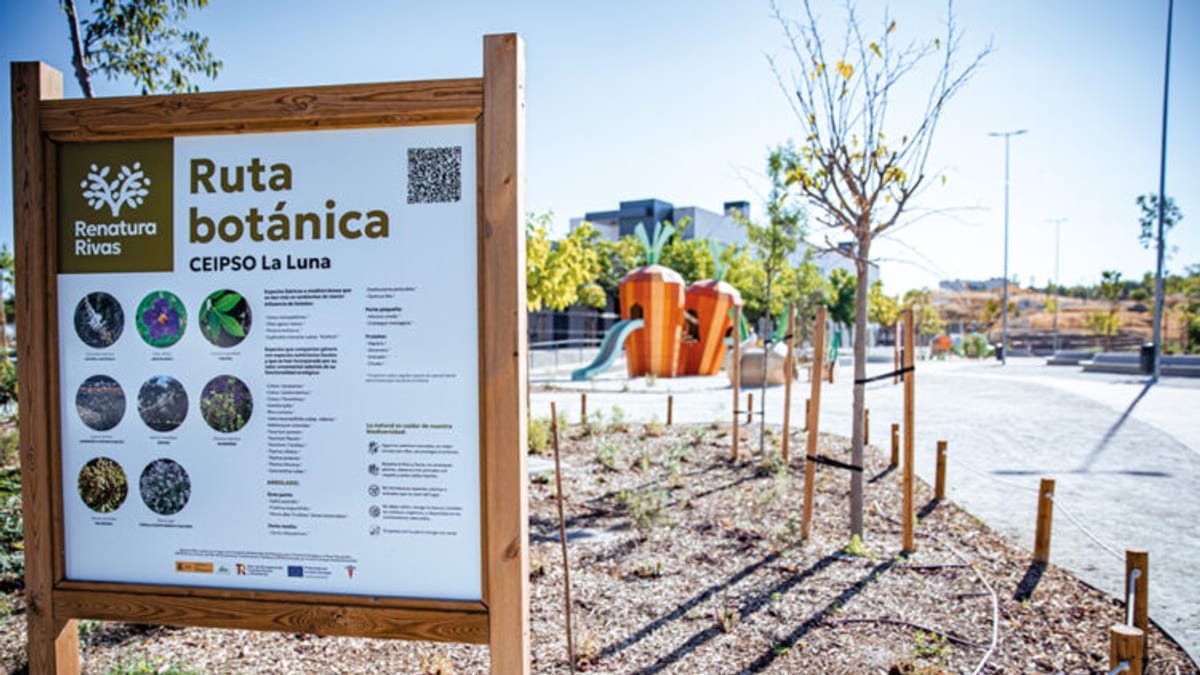 Ruta botánica del CEIPSO La Luna en el proyecto Renatura Rivas de renaturalización urbana