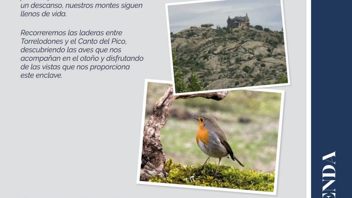 Cartel de la ruta ornitológica en Torrelodones del 24 de octubre, con información sobre la actividad guiada por SEO BirdLife en la Senda Ecológica de la Jara y el Lodón