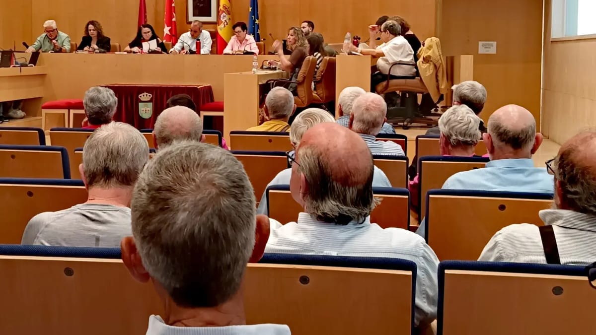 Pleno municipal extraordinario del Ayuntamiento de San Fernando de Henares sobre sanidad pública