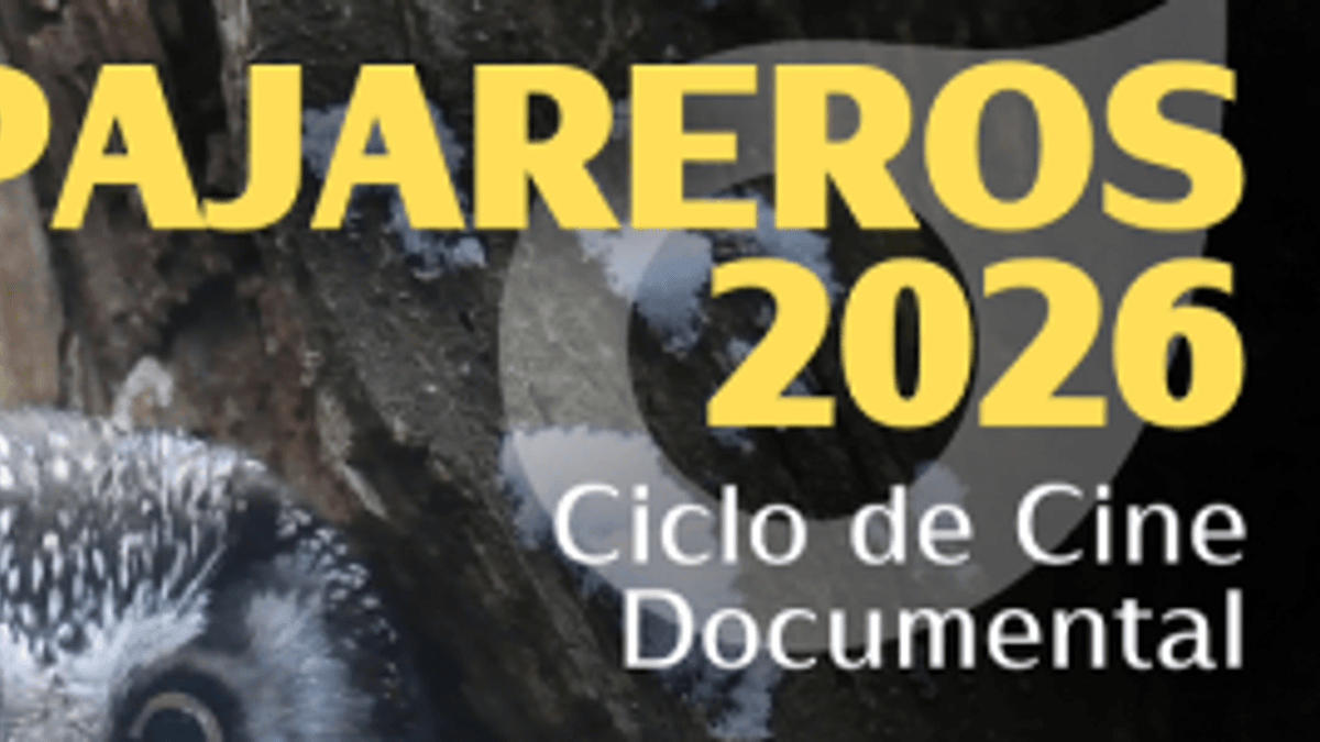 Cartel promocional de Pajareros 2026, ciclo de cine documental sobre fauna salvaje organizado por Santander Capital Natural