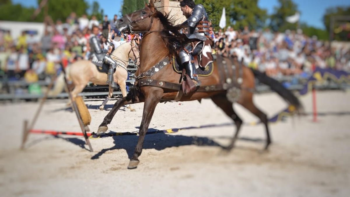 Espectáculo de Torneo de Justas medieval con estudiantes de educación primaria durante la Semana Cervantina de Alcalá de Henares