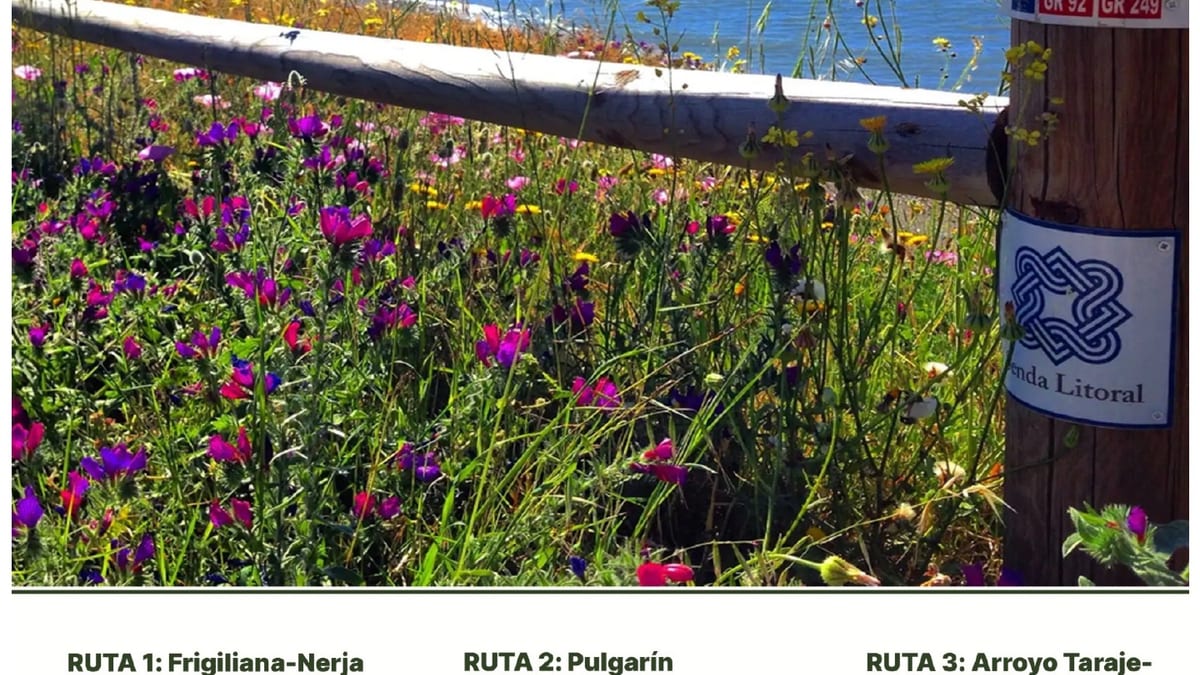 Cartel promocional de Senderos de Otoño 2026 de la Diputación de Málaga con las tres rutas disponibles y fechas de realización