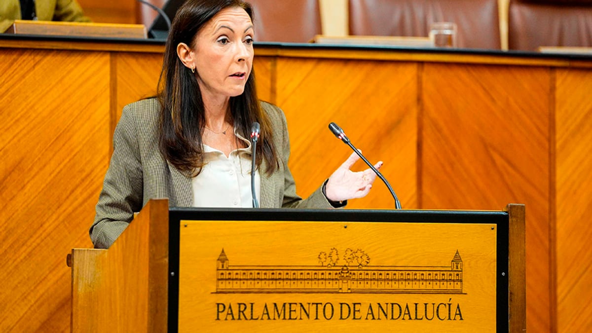 Consejera de Sostenibilidad y Medio Ambiente en el Parlamento de Andalucía durante su intervención sobre evaluación ambiental de plantas de biogás