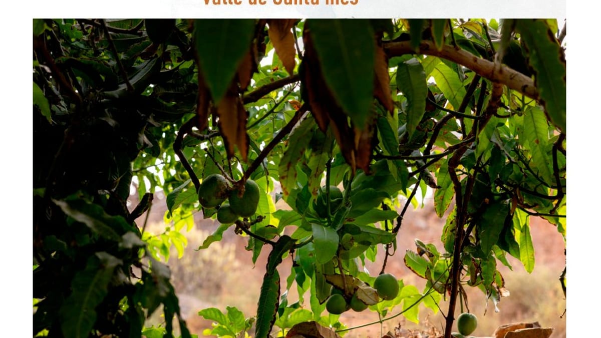 Cartel del Taller de Agroecología Arrimando el Hombro en Valle de Santa Inés, Fuerteventura, 23 y 24 de octubre de 2026