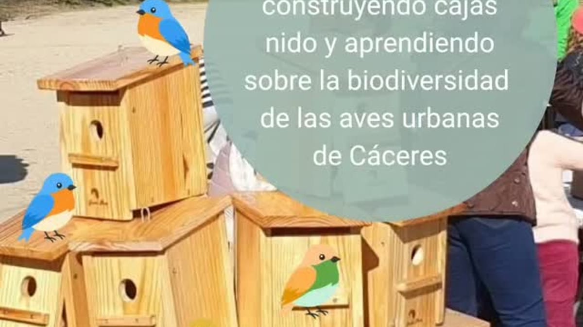 Cartel promocional del taller de construcción de cajas nido en Cáceres para el Día Mundial de las Aves