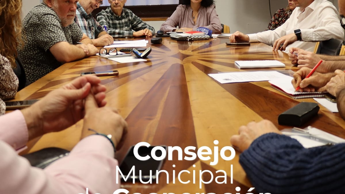 Sesión del Consejo Municipal de Cooperación al Desarrollo del Ayuntamiento de Toledo