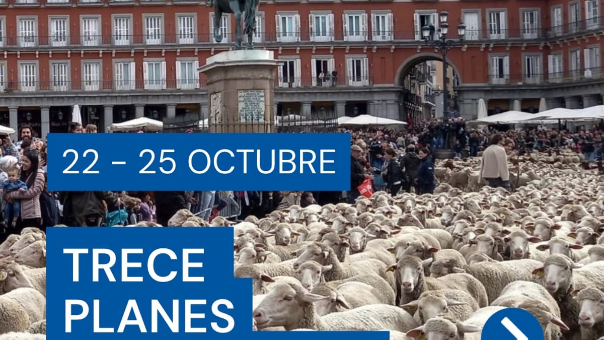 Carrusel de planes para el fin de semana en Madrid del 22 al 25 de octubre, incluyendo ovejas, competiciones de fútbol y videojuegos, pelota vasca, circo, danza, teatro y festival de libros