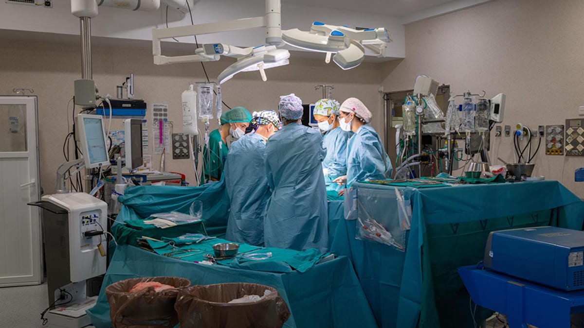 Sala de operaciones del Hospital Regional de Málaga durante la intervención quirúrgica de extirpación del tumor cardíaco