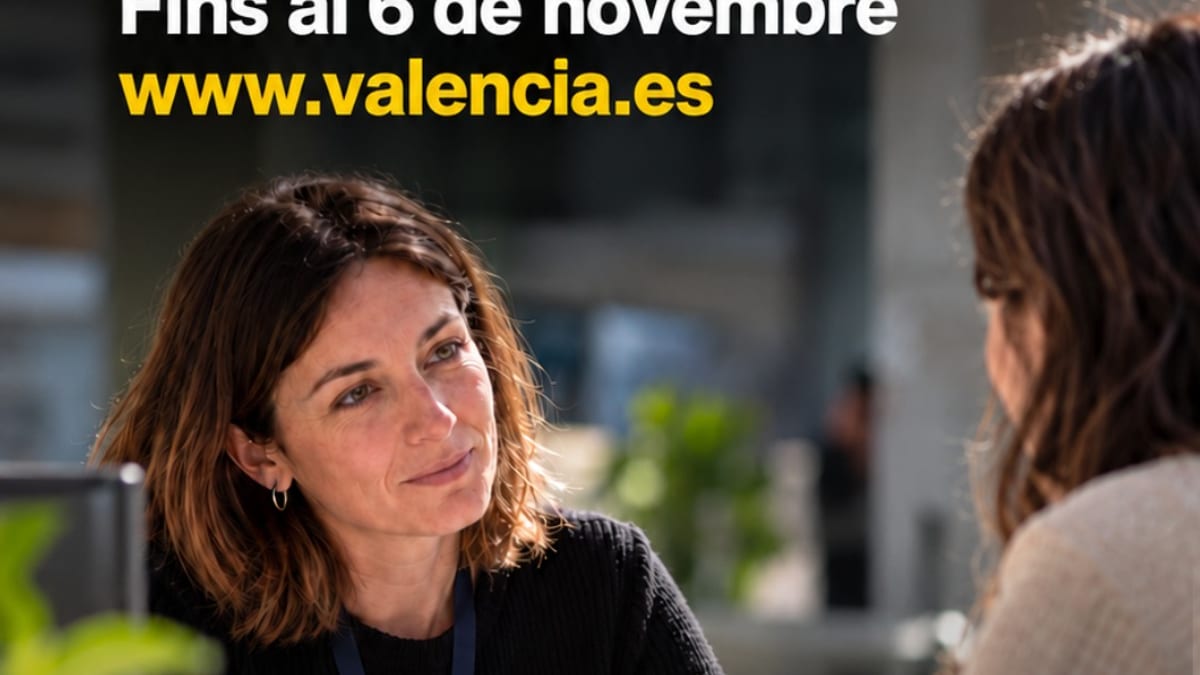Cartel de consulta pública del Ayuntamiento de Valencia para nueva Ordenanza de Atención Ciudadana, plazo hasta 6 de noviembre