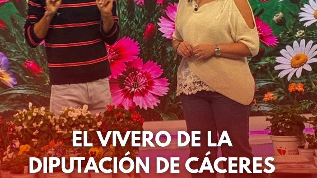 Angélica García, diputada de Agricultura y Ganadería, durante su intervención en Conexión Extremadura de Canal Extremadura TV hablando sobre las campañas de plantas de otoño del Vivero Provincial