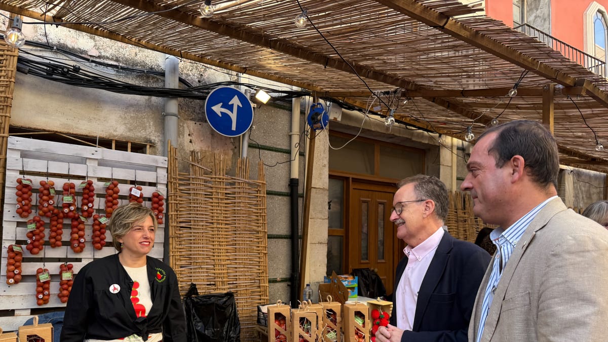 Puesto de venta de tomates de penjar tradicionales en la XII Fira de la Tomata de Penjar de Alcalà de Xivert