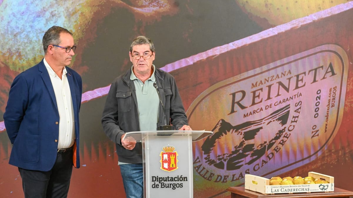 Cartel XV Feria de la Manzana Reineta del Valle de las Caderechas con marca de garantía, organizada por la Diputación de Burgos
